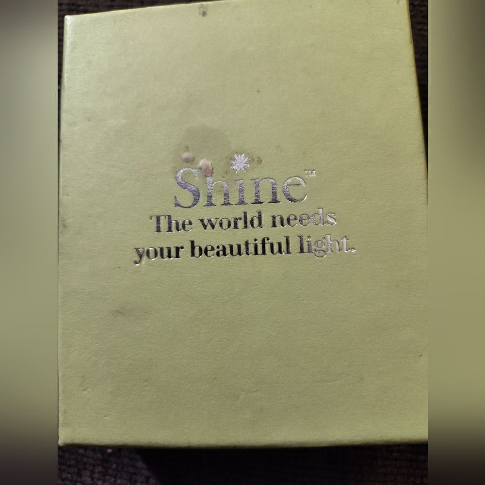 Shine fine stainless steel adjustable bangle, nwt